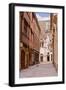 The Streets of Old Dijon and Hotel Aubriot, Dijon, Burgundy, France, Europe-Julian Elliott-Framed Photographic Print