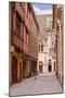 The Streets of Old Dijon and Hotel Aubriot, Dijon, Burgundy, France, Europe-Julian Elliott-Mounted Photographic Print