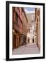 The Streets of Old Dijon and Hotel Aubriot, Dijon, Burgundy, France, Europe-Julian Elliott-Framed Photographic Print