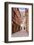 The Streets of Old Dijon and Hotel Aubriot, Dijon, Burgundy, France, Europe-Julian Elliott-Framed Photographic Print
