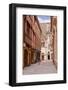 The Streets of Old Dijon and Hotel Aubriot, Dijon, Burgundy, France, Europe-Julian Elliott-Framed Photographic Print