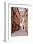 The Streets of Old Dijon and Hotel Aubriot, Dijon, Burgundy, France, Europe-Julian Elliott-Framed Photographic Print