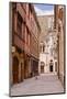 The Streets of Old Dijon and Hotel Aubriot, Dijon, Burgundy, France, Europe-Julian Elliott-Mounted Photographic Print