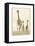 The Stroll-Susann Parker-Framed Stretched Canvas