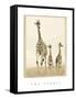 The Stroll-Susann Parker-Framed Stretched Canvas