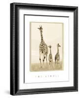 The Stroll-Susann Parker-Framed Photographic Print