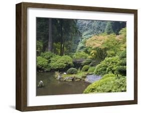 The Strolling Pond with Moon Bridge in the Japanese Garden, Portland, Oregon, USA-Greg Probst-Framed Photographic Print