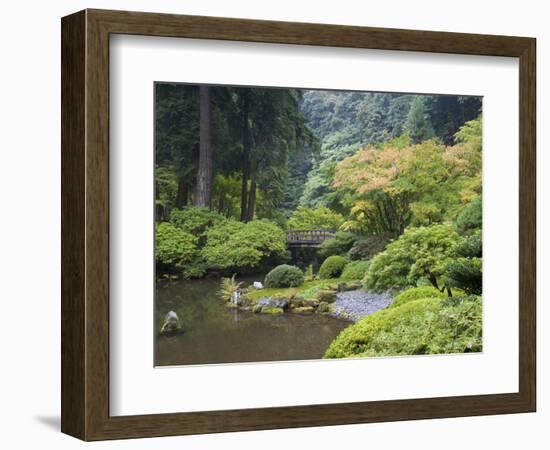 The Strolling Pond with Moon Bridge in the Japanese Garden, Portland, Oregon, USA-Greg Probst-Framed Photographic Print