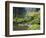 The Strolling Pond with Moon Bridge in the Japanese Garden, Portland, Oregon, USA-Greg Probst-Framed Photographic Print