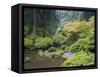 The Strolling Pond with Moon Bridge in the Japanese Garden, Portland, Oregon, USA-Greg Probst-Framed Stretched Canvas