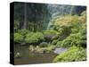 The Strolling Pond with Moon Bridge in the Japanese Garden, Portland, Oregon, USA-Greg Probst-Stretched Canvas