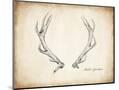 Wood Mount