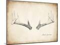 Wood Mount