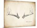 Wood Mount