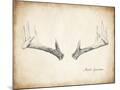 Wood Mount