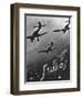 The Stuka Advertised-null-Framed Photographic Print