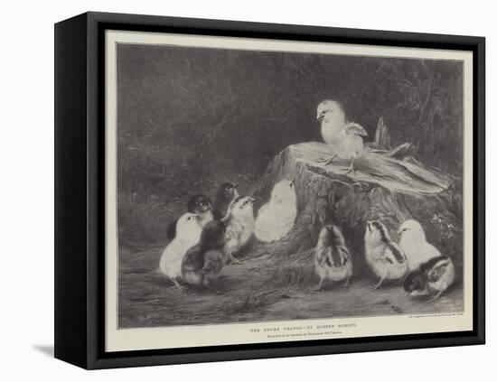 The Stump Orator-Robert Morley-Framed Stretched Canvas