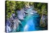 The Stunning Blue Pools, Haast Pass, South Island, New Zealand, Pacific-Michael Runkel-Stretched Canvas