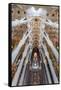 The Stunning Interior of the Sagrada Familia, Spain-Paul Dymond-Framed Stretched Canvas