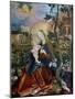 The Stuppach Madonna, C. 1520-Mathias Grünewald-Mounted Giclee Print