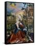 The Stuppach Madonna, C. 1520-Mathias Grünewald-Framed Stretched Canvas
