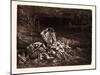 The Stygian Lake in the Fifth Circle of Hell-Gustave Dore-Mounted Giclee Print