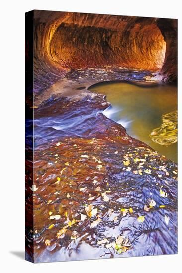 The Subway Along North Creek, Zion National Park, Utah, Usa-Russ Bishop-Stretched Canvas