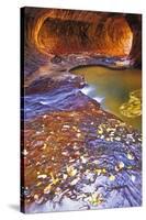 The Subway Along North Creek, Zion National Park, Utah, Usa-Russ Bishop-Stretched Canvas