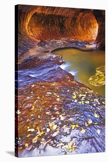 The Subway Along North Creek, Zion National Park, Utah, Usa-Russ Bishop-Stretched Canvas