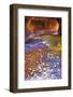 The Subway Along North Creek, Zion National Park, Utah, Usa-Russ Bishop-Framed Photographic Print