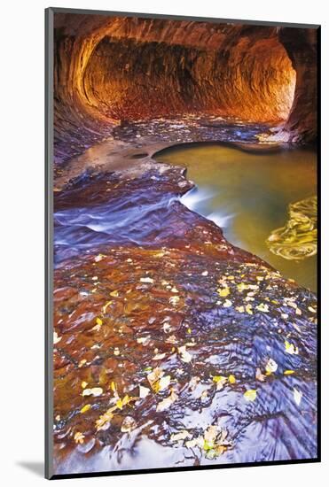 The Subway Along North Creek, Zion National Park, Utah, Usa-Russ Bishop-Mounted Photographic Print