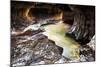 The Subway in Zion National Park, Utah in the Fall-Lindsay Daniels-Mounted Photographic Print