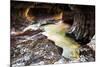 The Subway in Zion National Park, Utah in the Fall-Lindsay Daniels-Mounted Photographic Print