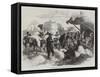 The Suez Canal, Cotton Market at Zagazig-null-Framed Stretched Canvas