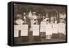 The Suffragettes of Ealing Publicise a Public Demonstration to Be Held on Ealing Common on 1st June-English Photographer-Framed Stretched Canvas