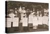 The Suffragettes of Ealing Publicise a Public Demonstration to Be Held on Ealing Common on 1st June-English Photographer-Stretched Canvas