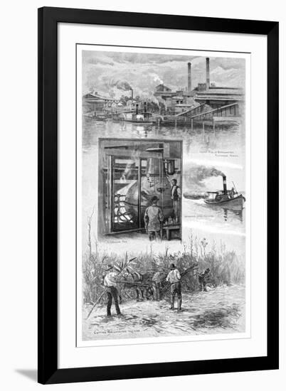 The Sugar Industry, Richmond River, New South Wales, Australia, 1886-JR Ashton-Framed Giclee Print