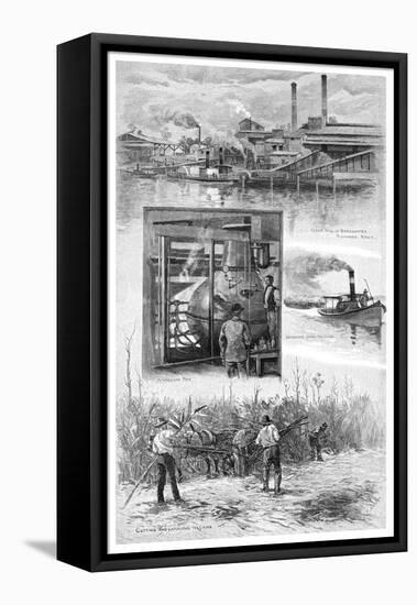 The Sugar Industry, Richmond River, New South Wales, Australia, 1886-JR Ashton-Framed Stretched Canvas