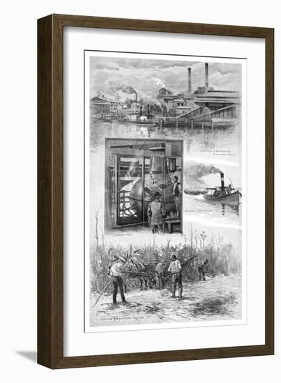 The Sugar Industry, Richmond River, New South Wales, Australia, 1886-JR Ashton-Framed Giclee Print