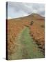 The Sugar Loaf, in Autumn, Black Mountains Near Abergavenny, Monmouthshire, Wales-David Hunter-Stretched Canvas