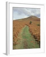 The Sugar Loaf, in Autumn, Black Mountains Near Abergavenny, Monmouthshire, Wales-David Hunter-Framed Photographic Print