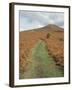 The Sugar Loaf, in Autumn, Black Mountains Near Abergavenny, Monmouthshire, Wales-David Hunter-Framed Photographic Print