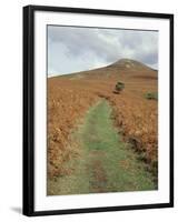 The Sugar Loaf, in Autumn, Black Mountains Near Abergavenny, Monmouthshire, Wales-David Hunter-Framed Photographic Print