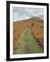 The Sugar Loaf, in Autumn, Black Mountains Near Abergavenny, Monmouthshire, Wales-David Hunter-Framed Photographic Print