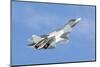 The Sukhoi T-50 Future Russian Air Force 5th Generation Fighter Plane-Stocktrek Images-Mounted Photographic Print