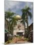 The Sultan Mosque, Little India, Singapore, Southeast Asia, Asia-Richard Maschmeyer-Mounted Photographic Print