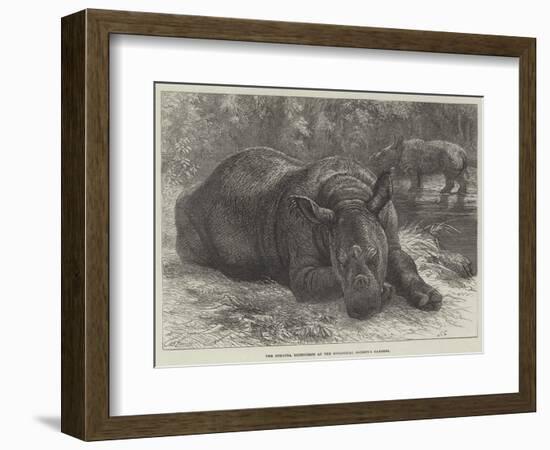 The Sumatra Rhinoceros at the Zoological Society's Gardens-Johann Baptist Zwecker-Framed Giclee Print