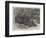 The Sumatra Rhinoceros at the Zoological Society's Gardens-Johann Baptist Zwecker-Framed Giclee Print