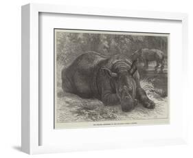 The Sumatra Rhinoceros at the Zoological Society's Gardens-Johann Baptist Zwecker-Framed Giclee Print