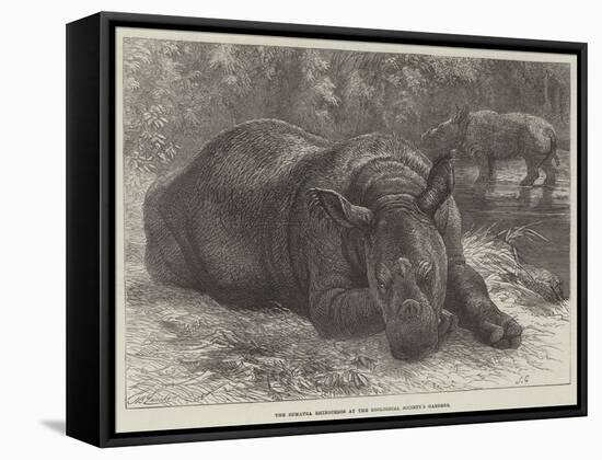 The Sumatra Rhinoceros at the Zoological Society's Gardens-Johann Baptist Zwecker-Framed Stretched Canvas